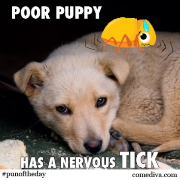 Pun of the Day: Poor Puppy