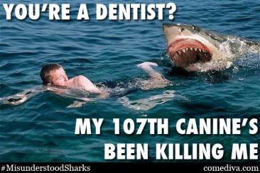 The Misunderstood Shark Meme