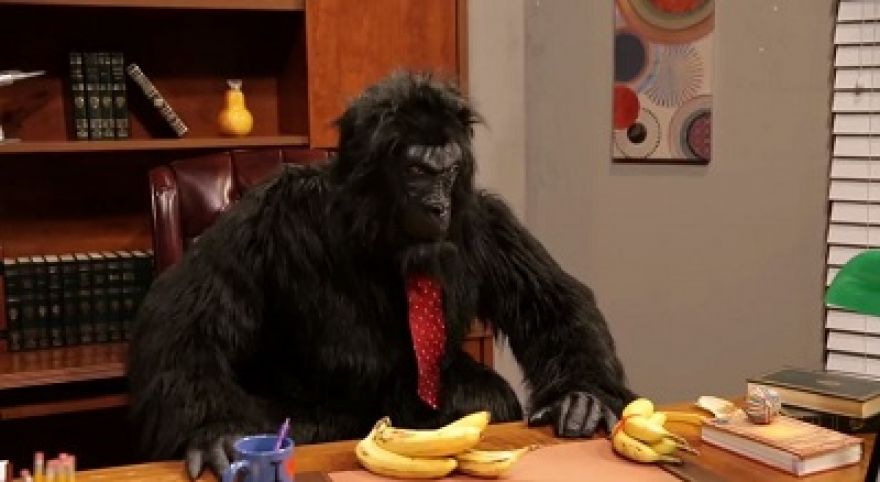 Gorilla Boss (Ep. 1) 