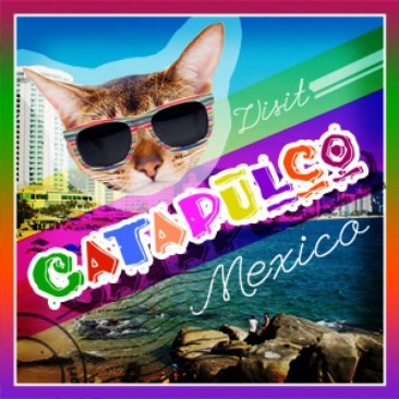 Vacation Destinations… for Cats!