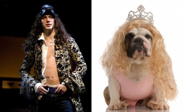 5 Reasons The Westminster Dog Show Is Like Tom Hardy