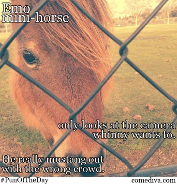 Pun of the Day: Why the Long Face?