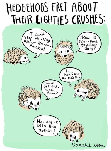 Hedgehogs Fret About ’80s Crushes