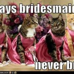 Cat Bridesmaids
