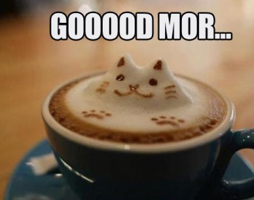 Cat Latte Art