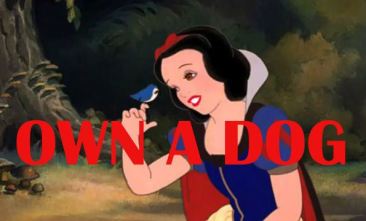 Disney Princesses Digitally Edited To Have Realistic Goals